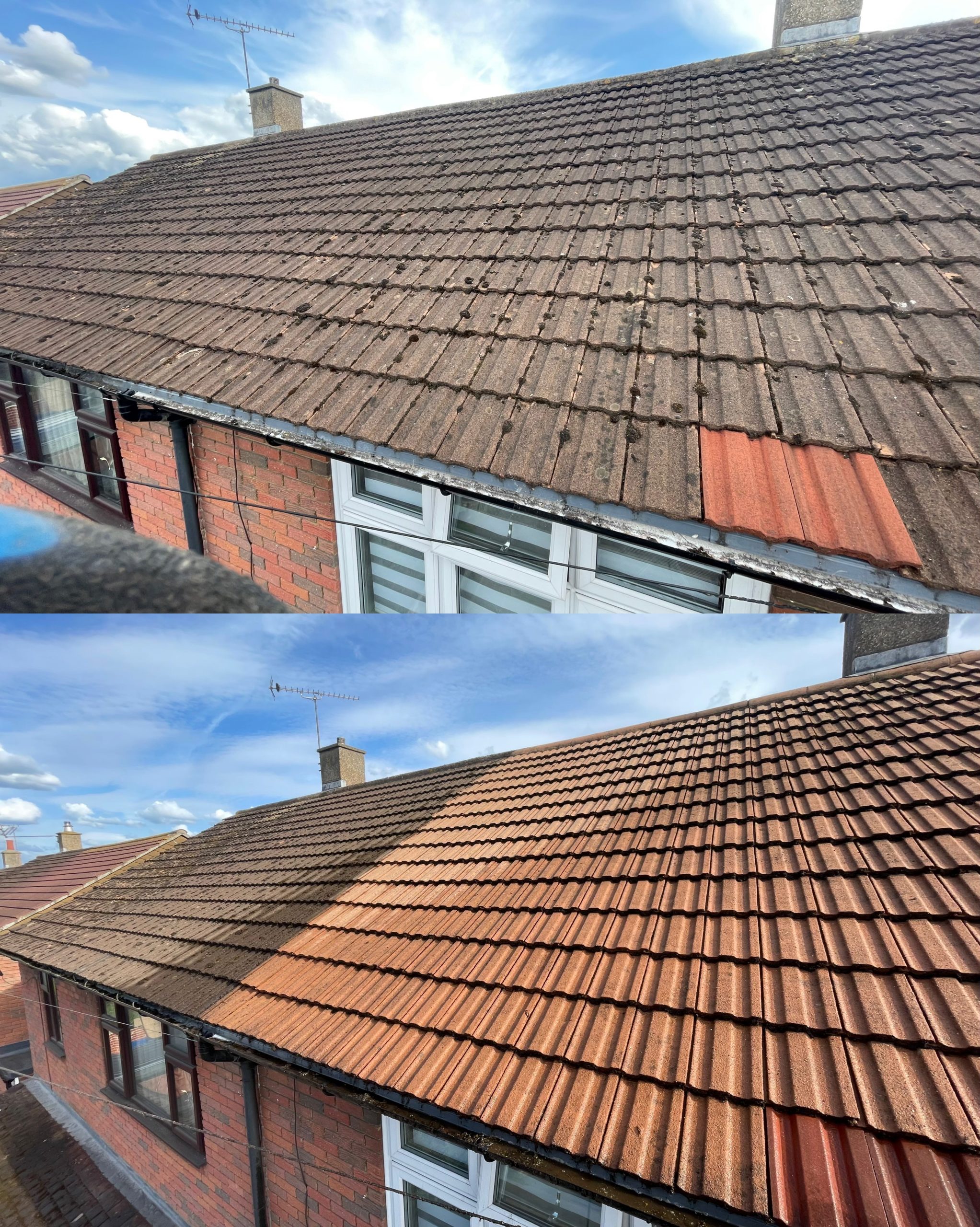 Low-pressure wash & biocide being carried out on a Somerset roof